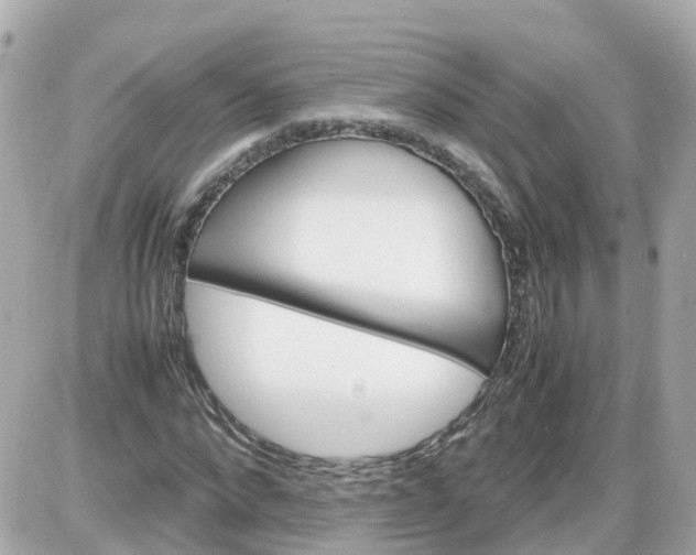 X0000087600872200705112326