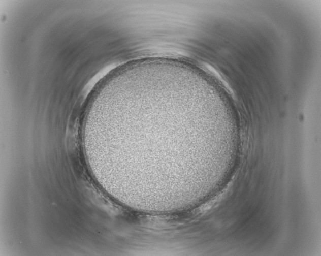 X0000087600875200705112326