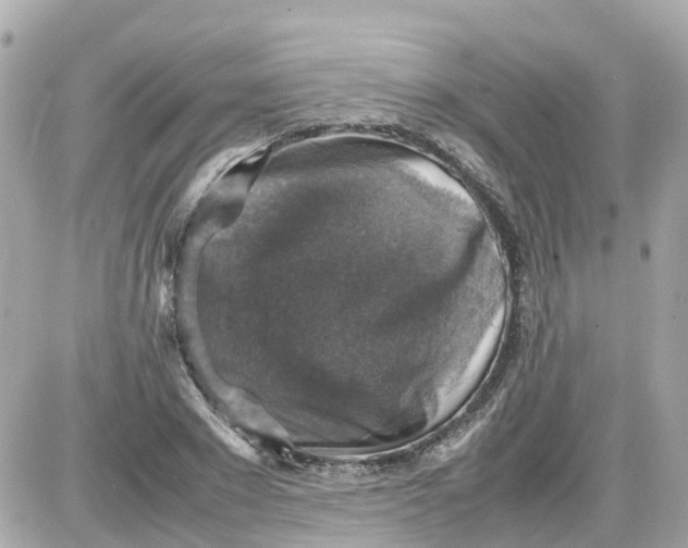 X0000087600881200705112325