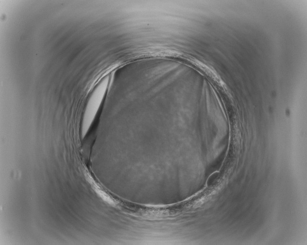 X0000087600889200705112325