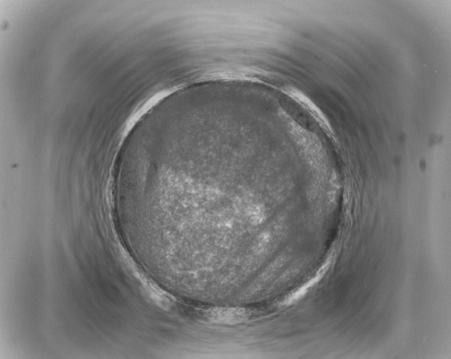 X0000087600893200705112325