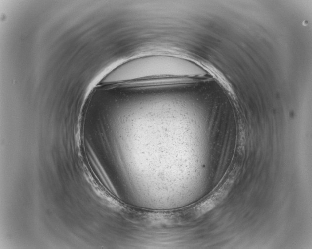 X0000087600904200705112325