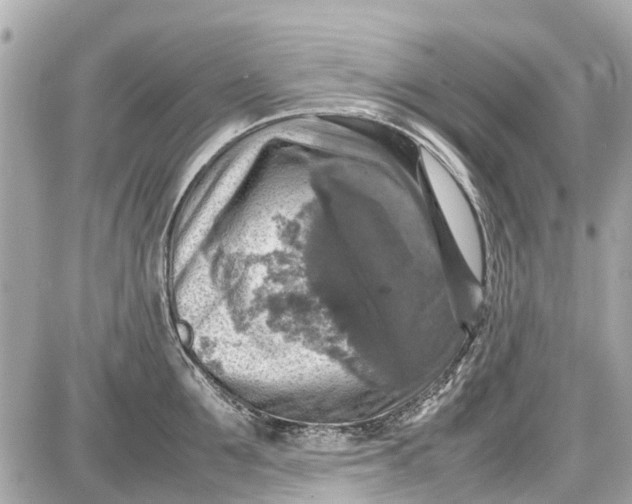 X0000087600907200705112325