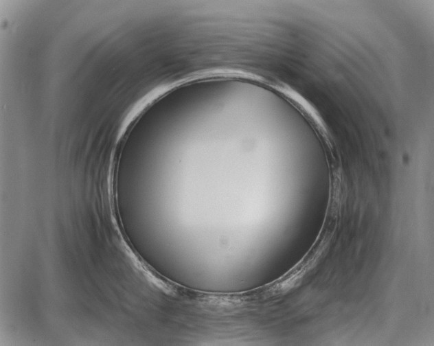 X0000087600910200705112325