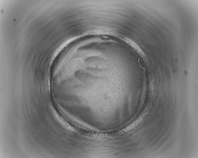 X0000087600934200705112325