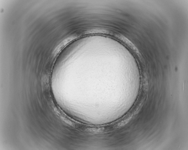 X0000087600937200705112325