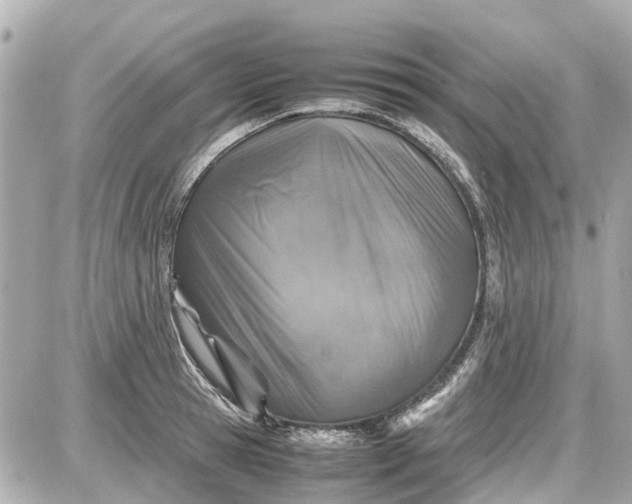 X0000087600945200705112325