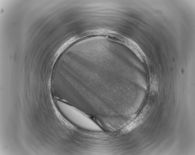 X0000087600946200705112325