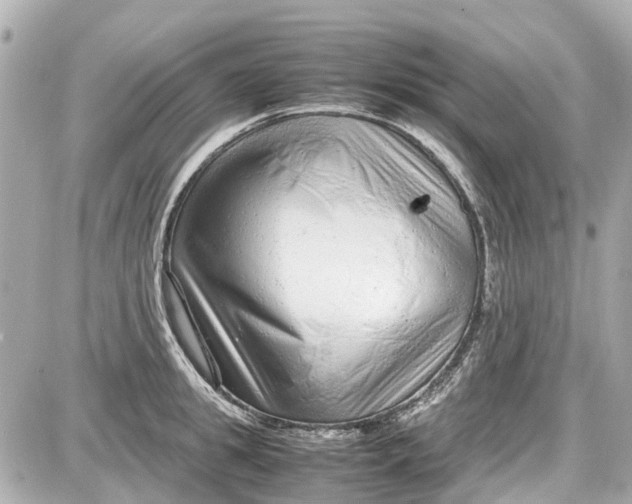 X0000087600949200705112325