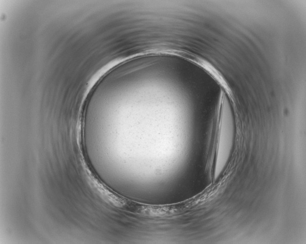 X0000087600955200705112325
