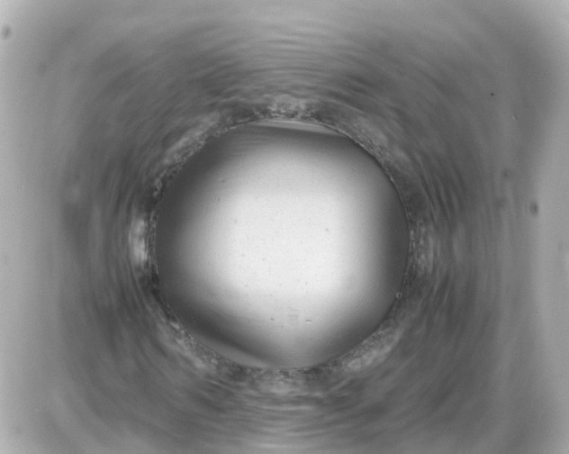 X0000087600962200705112324