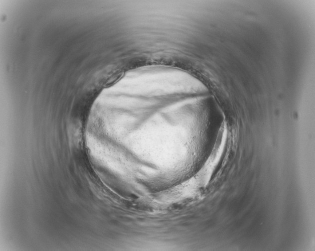 X0000087600963200705112324