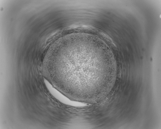 X0000087600966200705112324