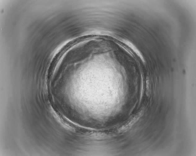 X0000087600972200705112324