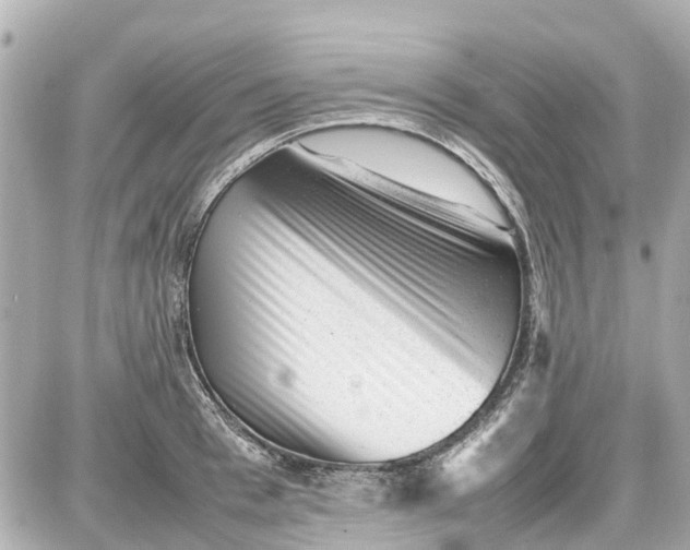 X0000087600993200705112324