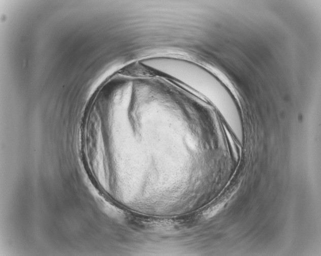 X0000087600999200705112324