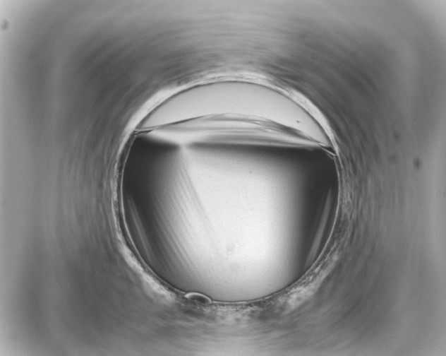 X0000087601005200705112323