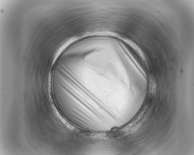 X0000087601006200705112323