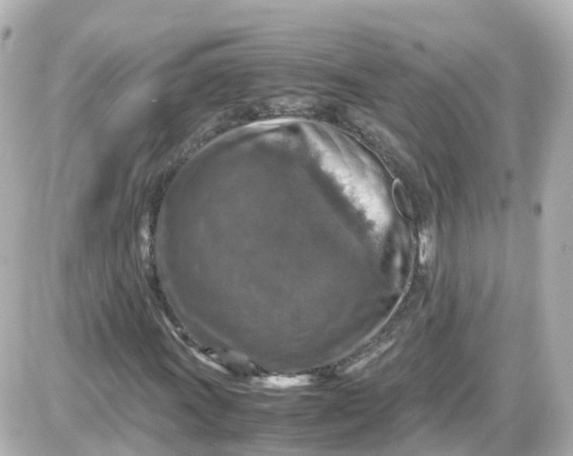 X0000087601011200705112323