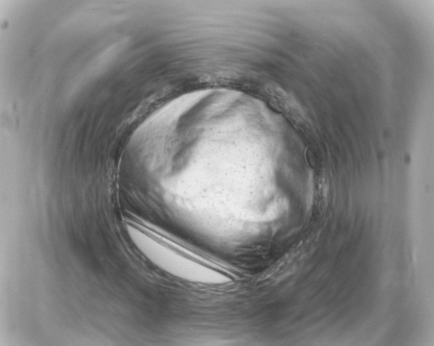X0000087601012200705112323