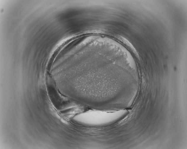 X0000087601035200705112323