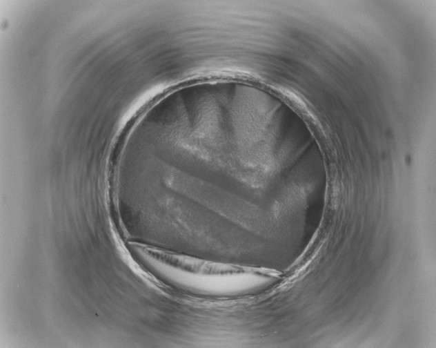 X0000087601038200705112323