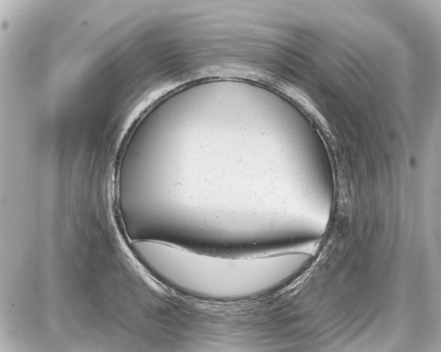X0000087601040200705112323