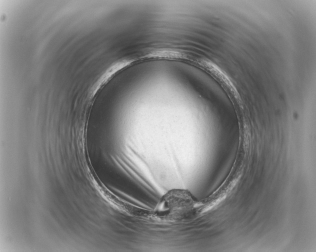 X0000087601041200705112323