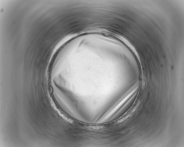 X0000087601053200705112323