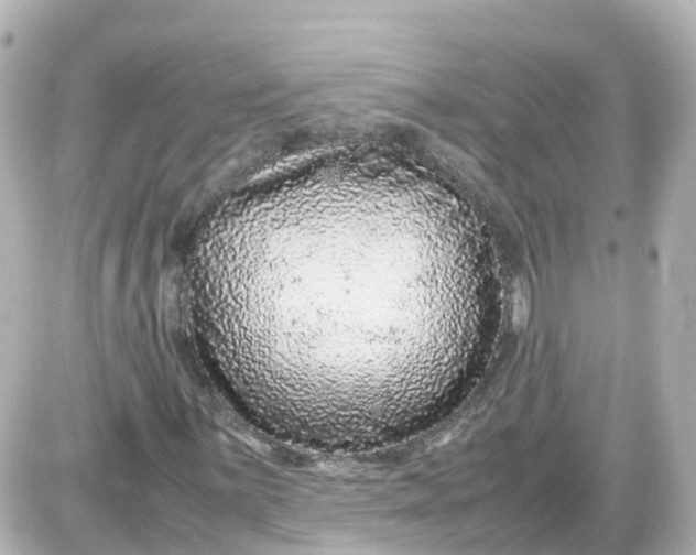 X0000087601059200705112323