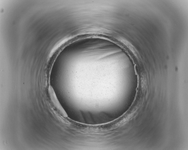X0000087601069200705112322