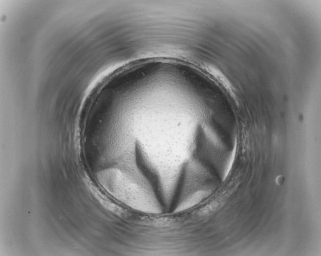 X0000087601072200705112322