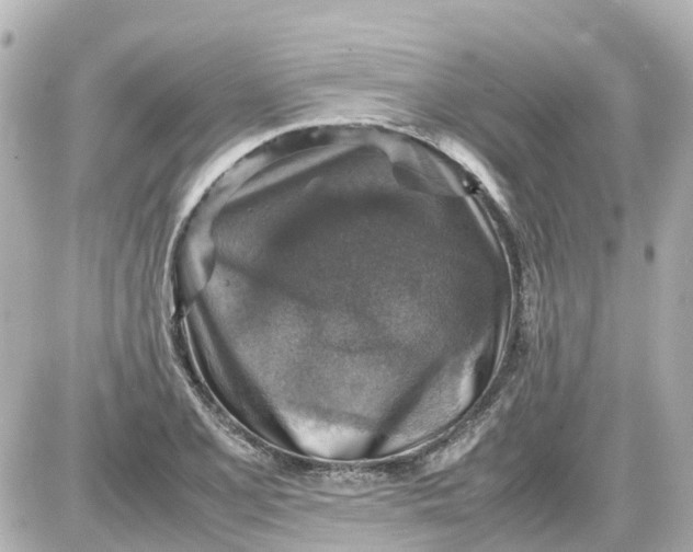 X0000087601077200705112322