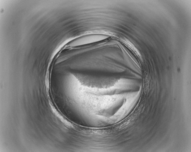 X0000087601084200705112322
