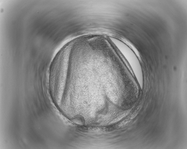 X0000087601099200705112322