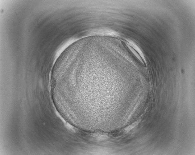 X0000087601103200705112322