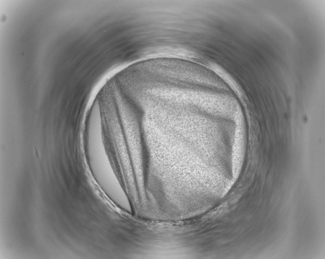 X0000087601104200705112322