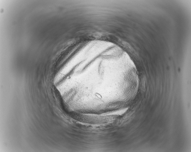 X0000087601105200705112321
