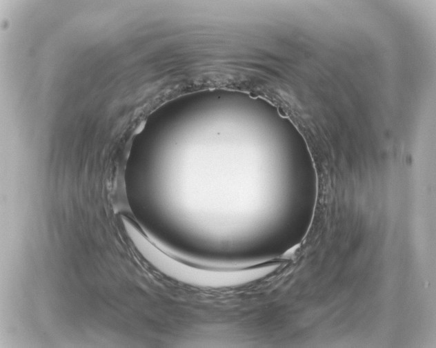 X0000087601109200705112321