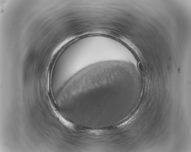 X0000087601127200705112321
