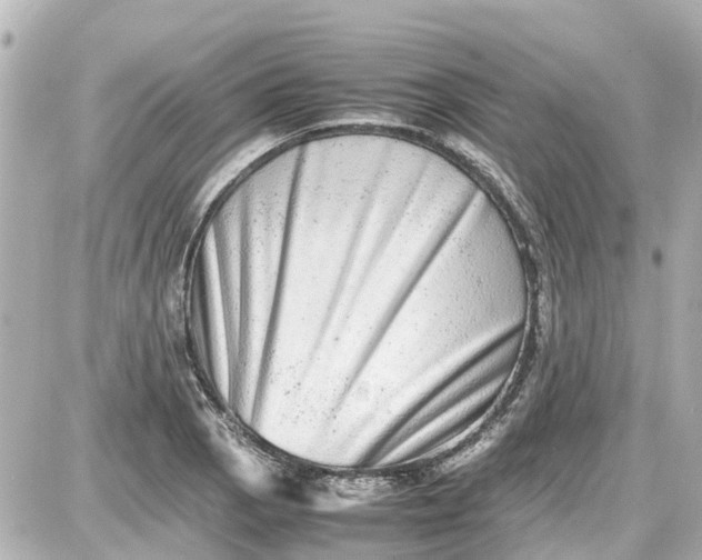 X0000087601129200705112321