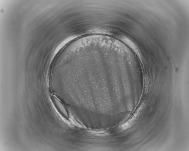 X0000087601141200705112322