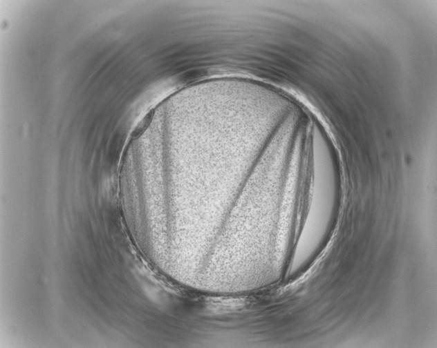 X0000087601145200705112322