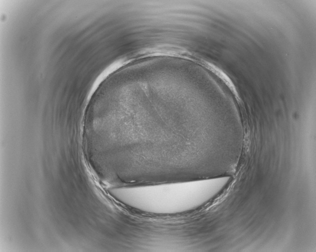 X0000087601146200705112322
