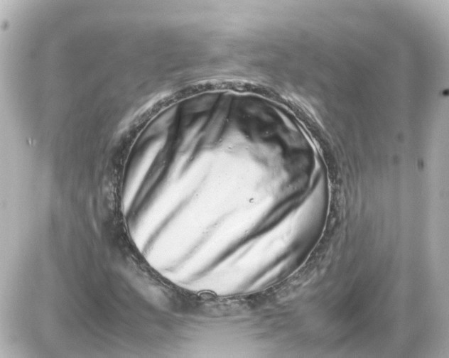 X0000087601159200705112321