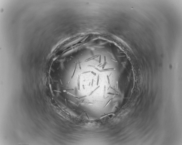 X0000087601160200705112321