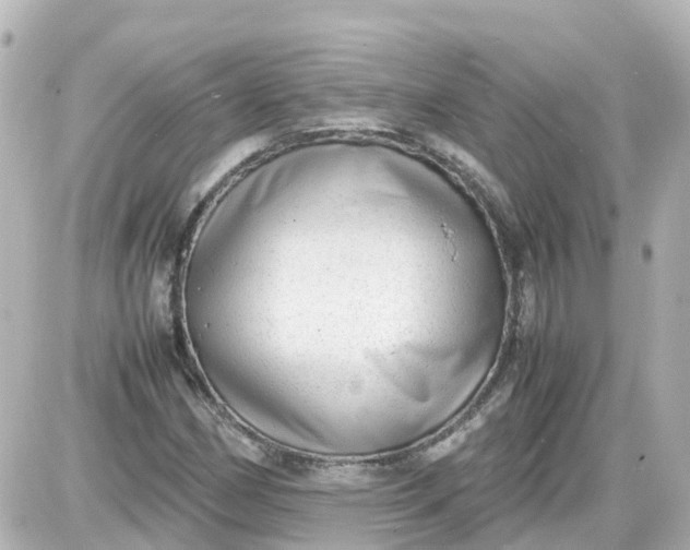 X0000087601162200705112321