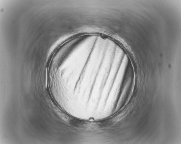 X0000087601175200705112321