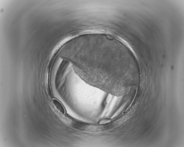X0000087601179200705112321