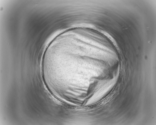 X0000087601199200705112320